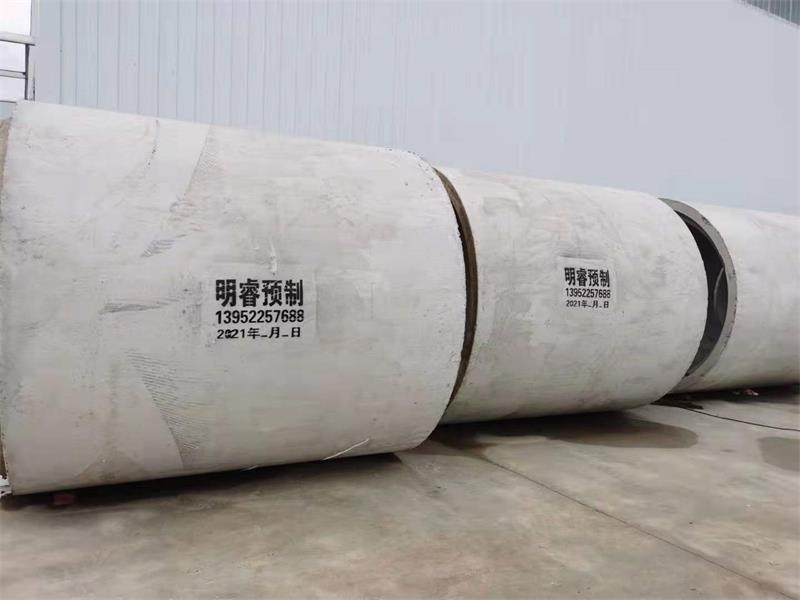 草莓视频在线观看视频